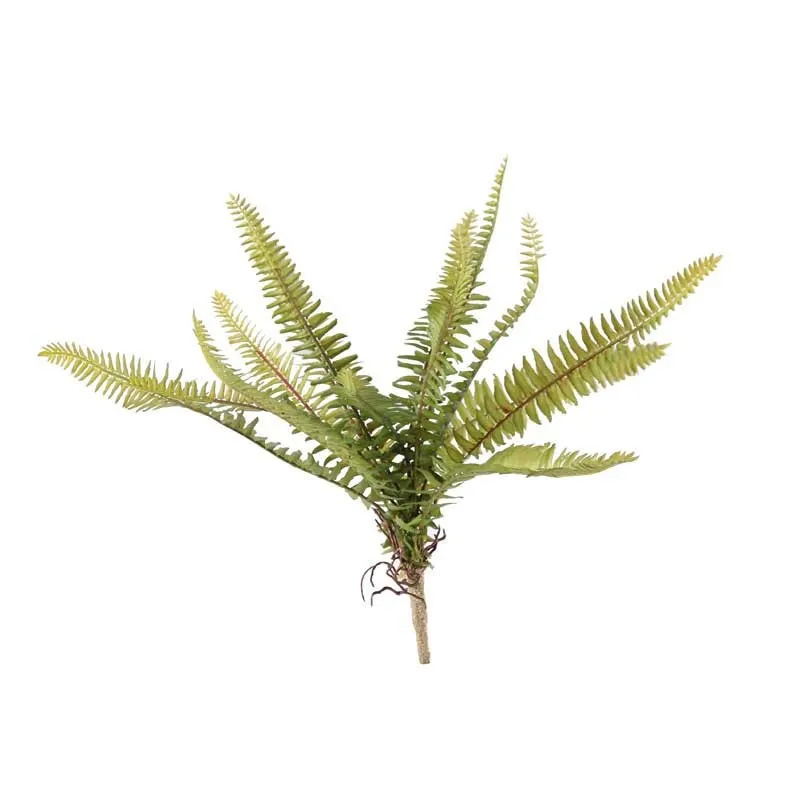 30cm Forest Fern