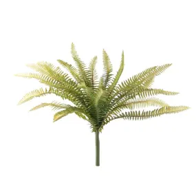 40cm Forest Fern