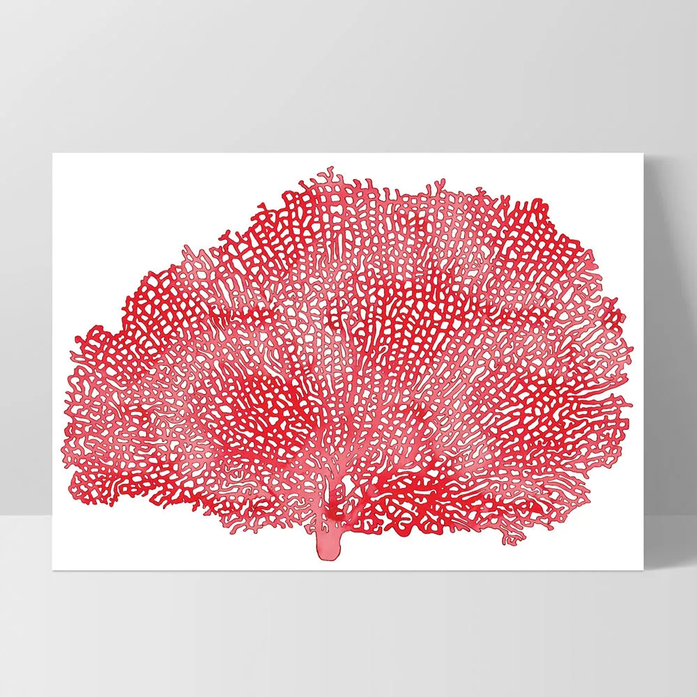 Coral Sea Fan Red - Art Print