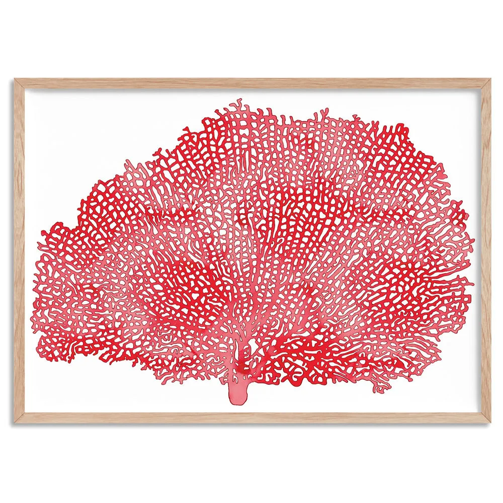 Coral Sea Fan Red - Art Print