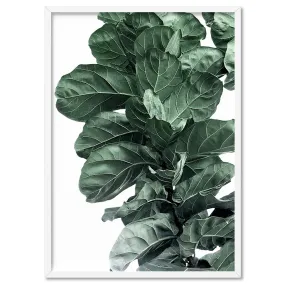 Fiddle Leaf Fig Watercolour I - Art Print