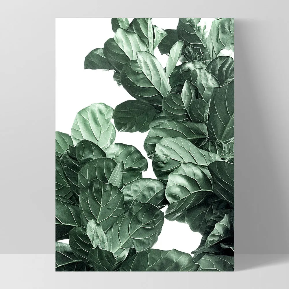 Fiddle Leaf Fig Watercolour II - Art Print