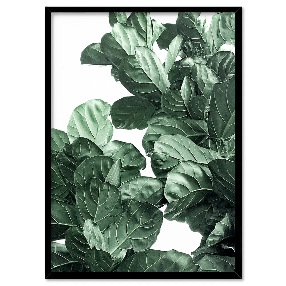 Fiddle Leaf Fig Watercolour II - Art Print