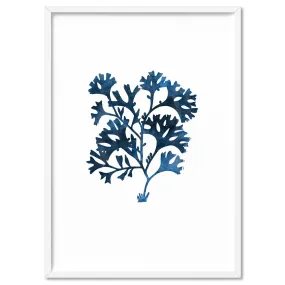 Hamptons Watercolour Blue Coral I - Art Print