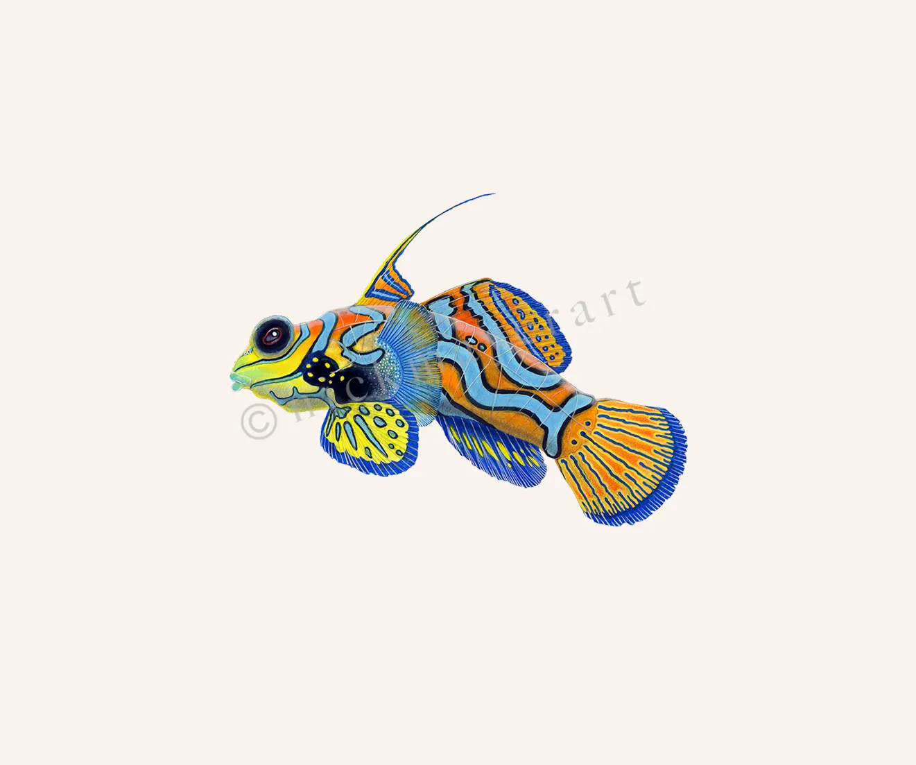 Mandarinfish Original Watercolor Painting