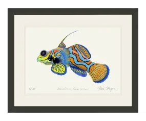 Mandarinfish Original Watercolor Painting